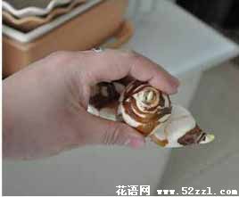 水仙盆栽 水仙花、风信子种球养殖步骤
