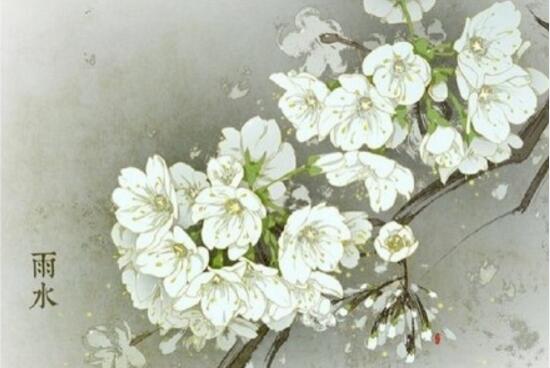 二十四节气对应的花 24节气代表的花卉大全(图集)
