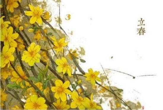 二十四节气对应的花 24节气代表的花卉大全(图集)
