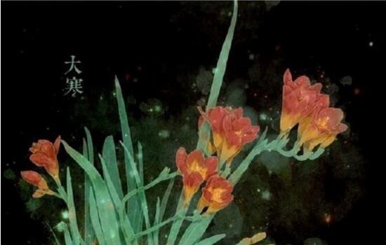 二十四节气对应的花 24节气代表的花卉大全(图集)