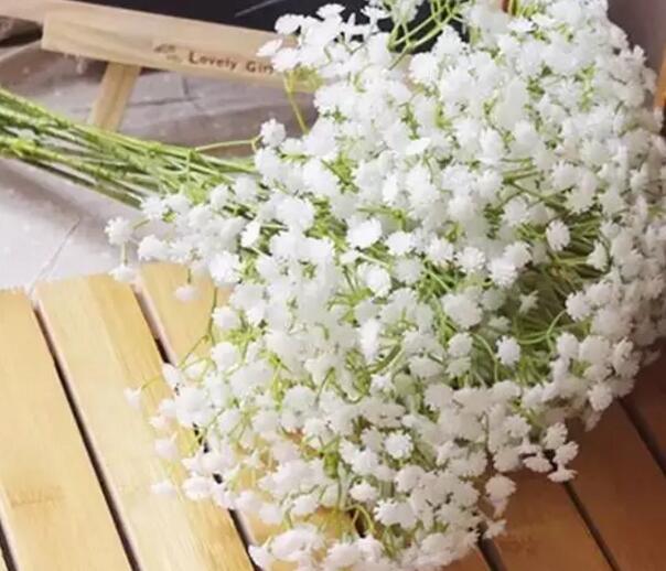 清明送什么花，清明送故人什么鲜花