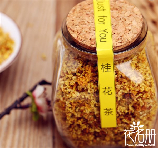 桂花茶的功效与作用，桂花茶的副作用