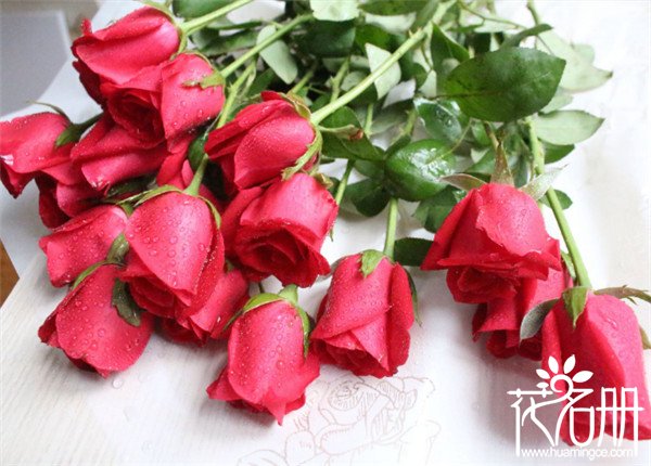 25朵玫瑰花语是什么，祝你幸福