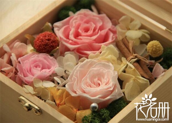 永生花是真花吗  永生花是永不凋谢的高仿鲜花(高科技结合人工而成)