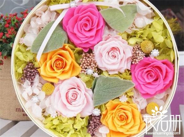 永生花怎么制作 永生花制作方法(自然风干保质期更长)