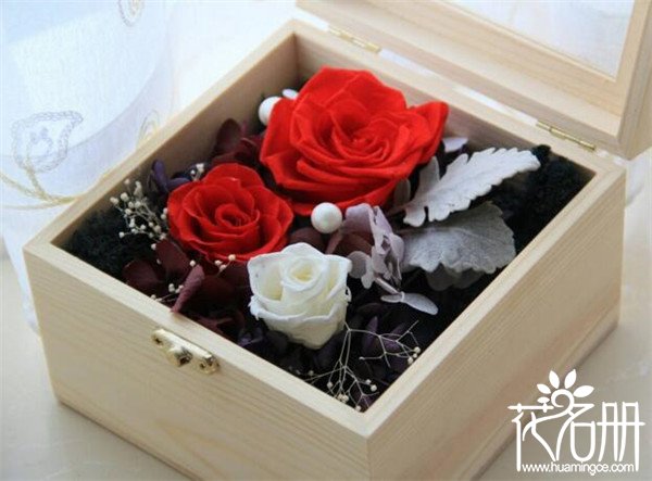 女神节送永生花好还是鲜花好 永生花一生只能送一次(永生花更深情)