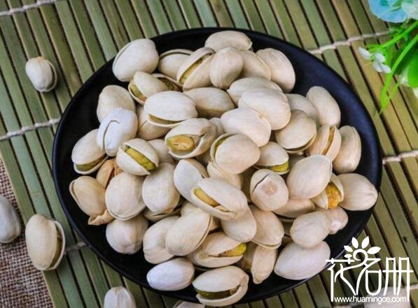 开心果为什么叫开心果 开心果的名字源自唐代医书