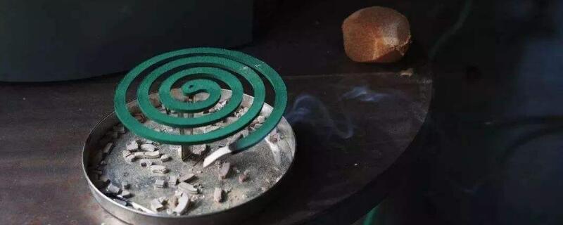蚊香灰可以养花吗