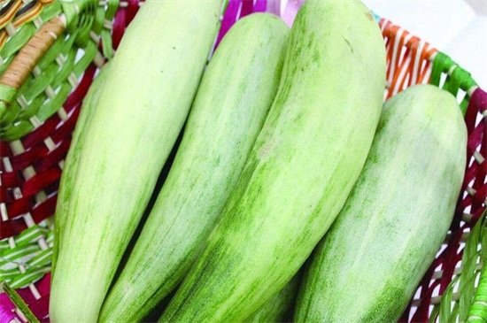 哪个甜瓜品种最好？10个甜瓜品种名录
