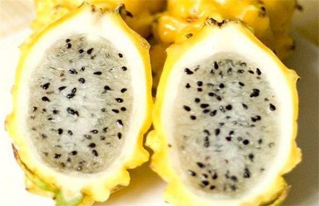 火龙果种类是有几种呢？常见火龙果品种高清图片