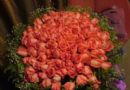 99朵红玫瑰花图片