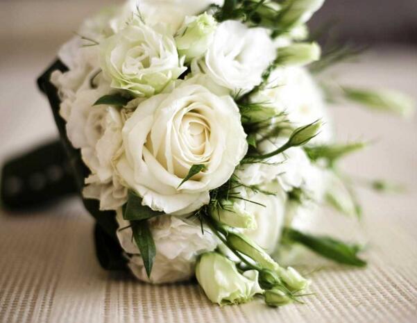 白玫瑰的花语是什么,白玫瑰代表什么意思(纯纯的爱)