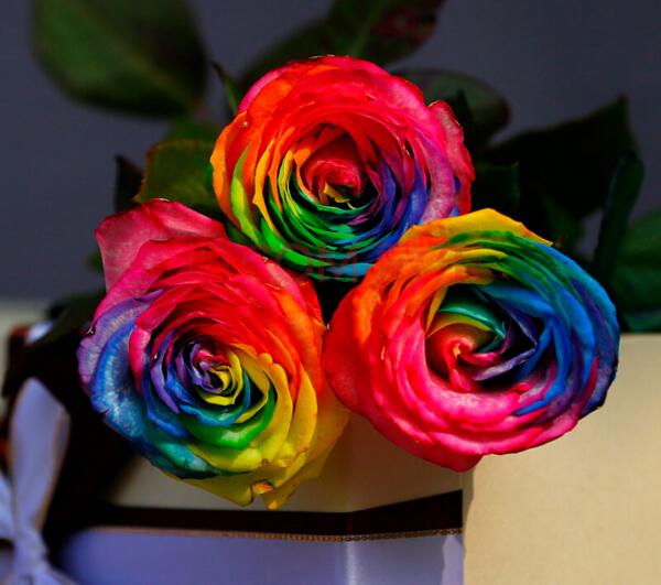 彩虹玫瑰花语,愿你幸福