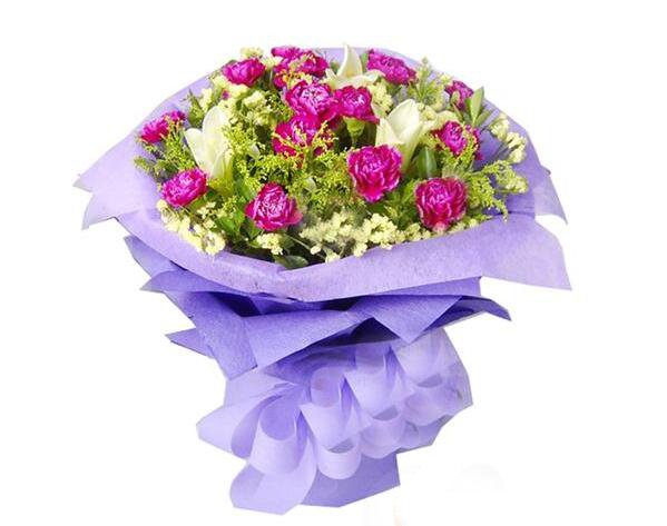 紫色康乃馨的花语是什么 温馨与慈祥