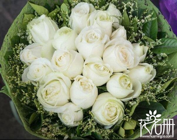 21朵白玫瑰的花语是什么，纯洁真挚的爱