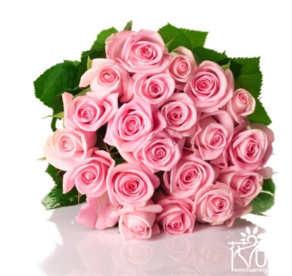 21朵粉玫瑰花语是什么，真诚的爱